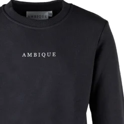 Ambique kris sweater antra