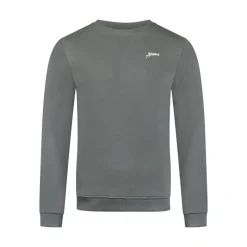 Ambique Luke backprint sweater Stone grey