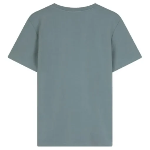 Ambique T-shirt Teddy lichtgroen