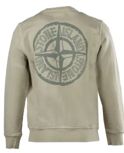 Stone Island backprint sweater V0095