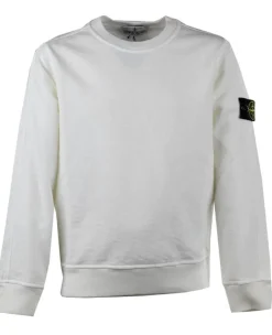 Stone Island bushed sweater V0001