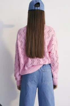 The New Society denim pet